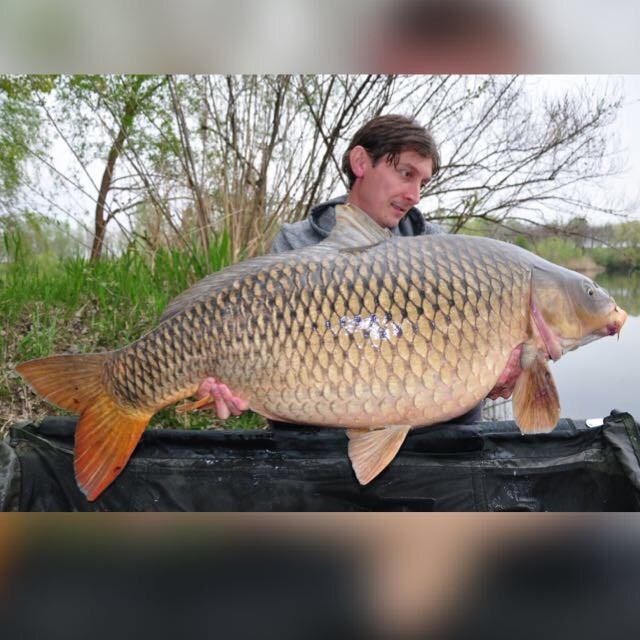 Noutat - B4DB8F2E3301483CAF358F89CA42D195.jpg